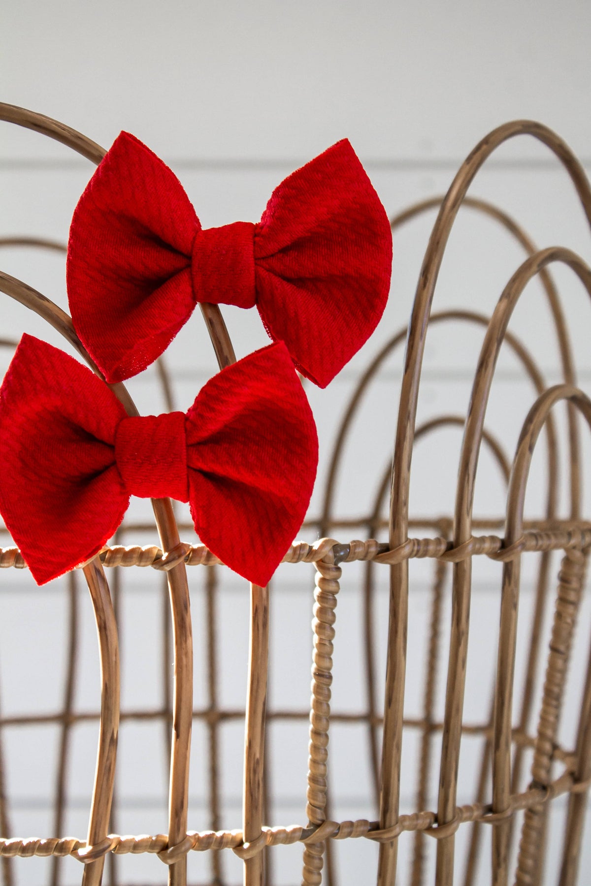 Red + Piggie Set