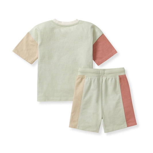 Color Blocked Boy Tee & Shorts Set