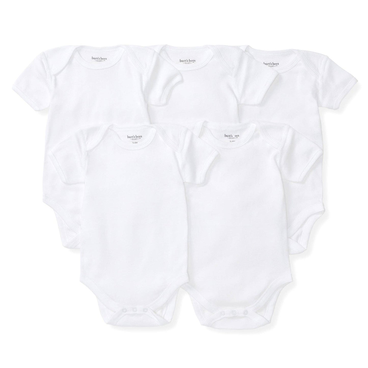 Bee Essentials Organic Short Sleeve Baby Bodysuit 5 Pack: Cloud / 0-3 Months
