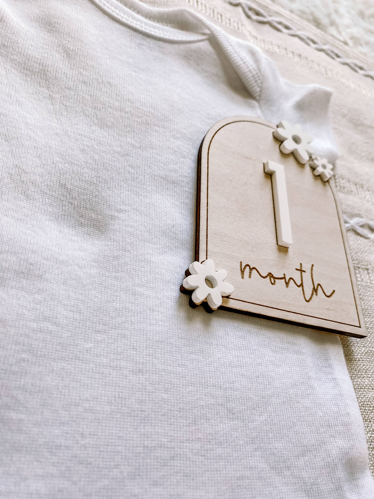 Wooden Monthly Milestone Set - Daisy: Blush / 12 Months (12 pc)