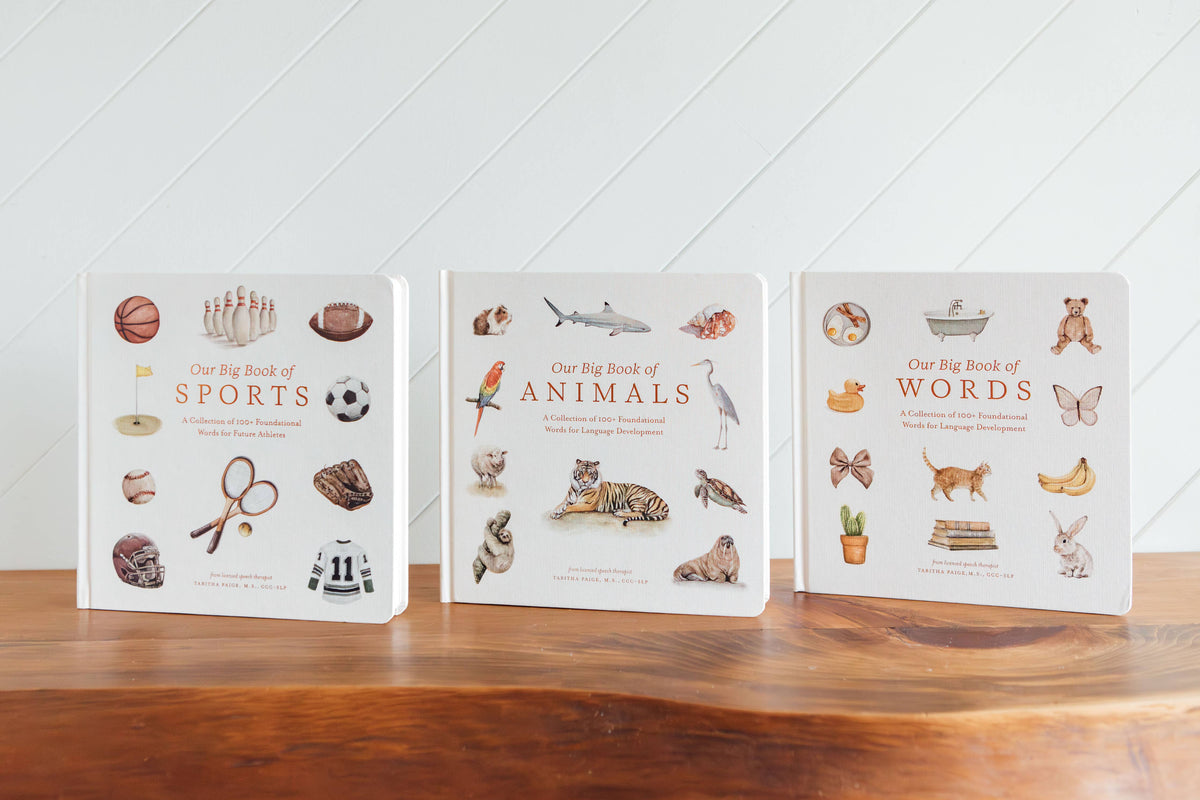 Our Big Book of First Words (Board Book)
