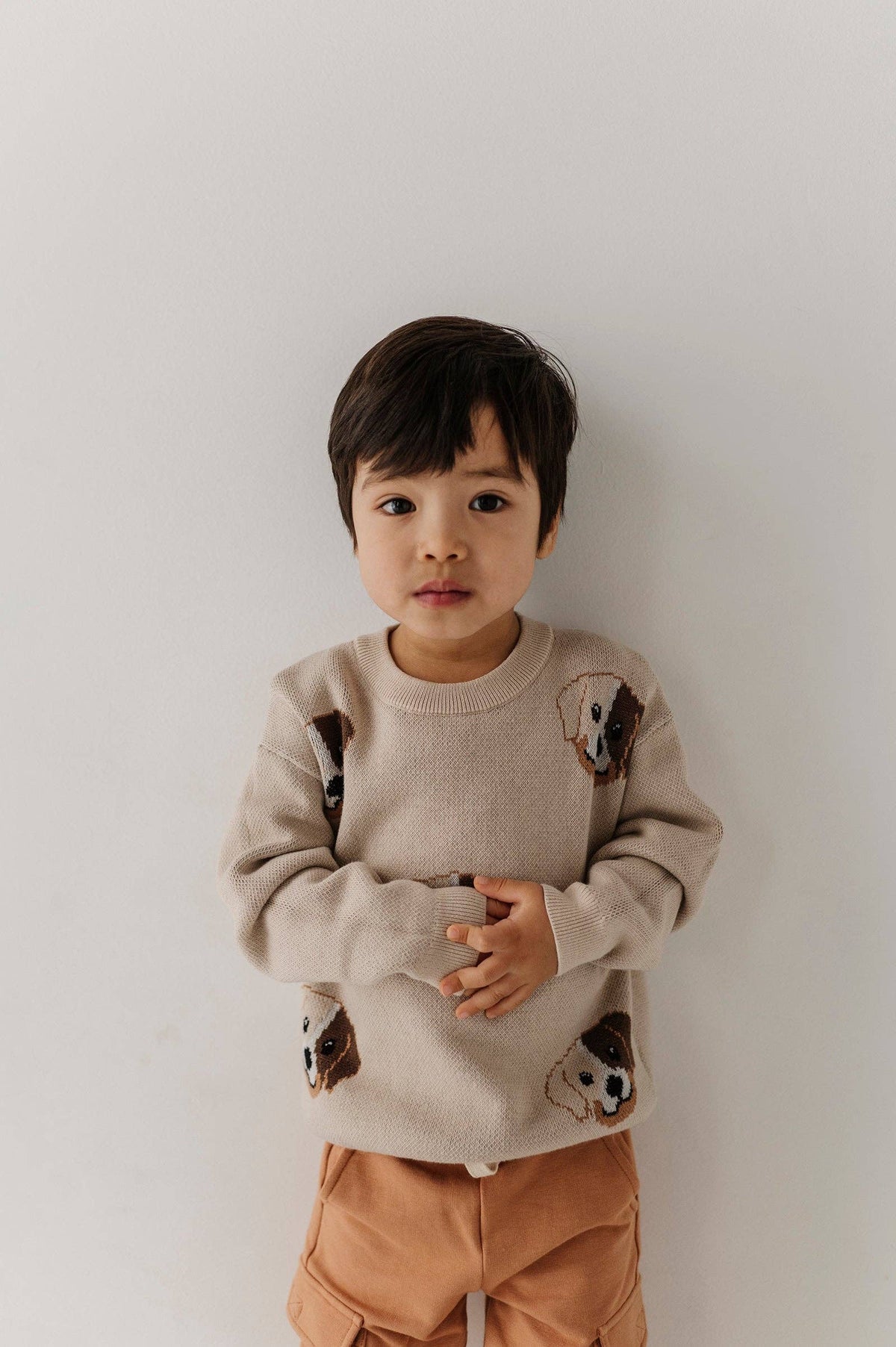 Babysprouts Knit Sweater: Puppies