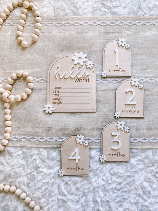 Wooden Monthly Milestone Set - Daisy: Blush / 12 Months (12 pc)