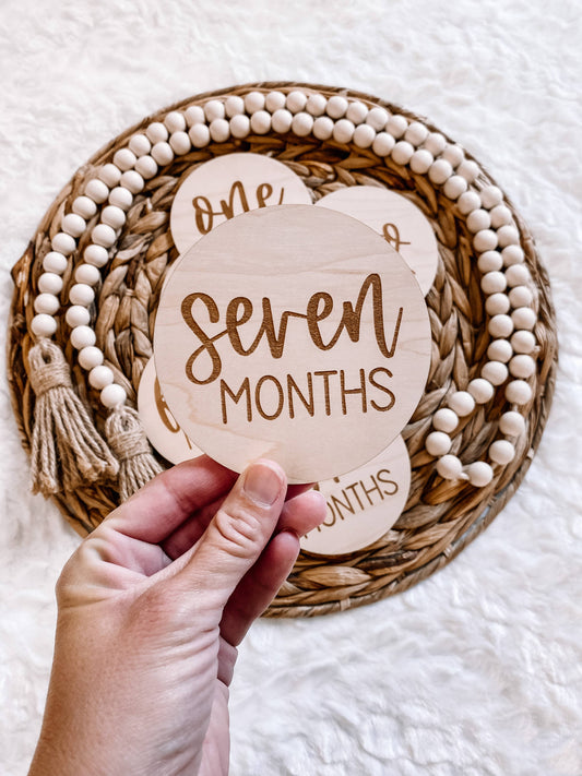 Wooden Monthly Milestone Disc Set: 12 pc set