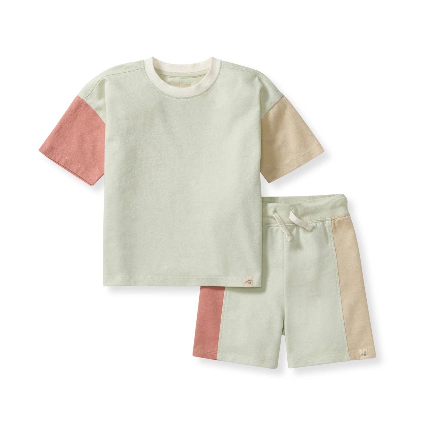 Color Blocked Boy Tee & Shorts Set: 3-6M