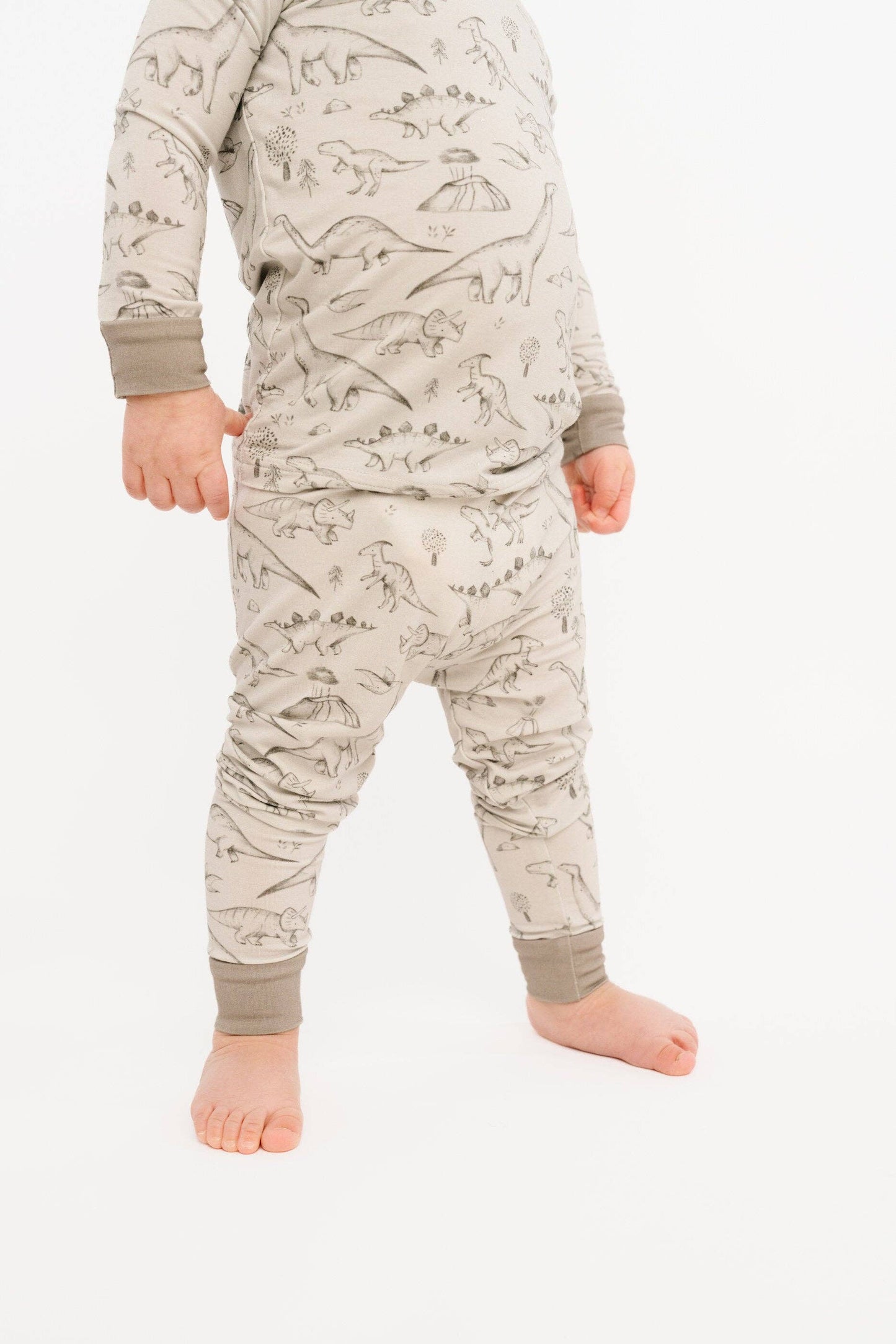 Dino Doodles Bamboo Set