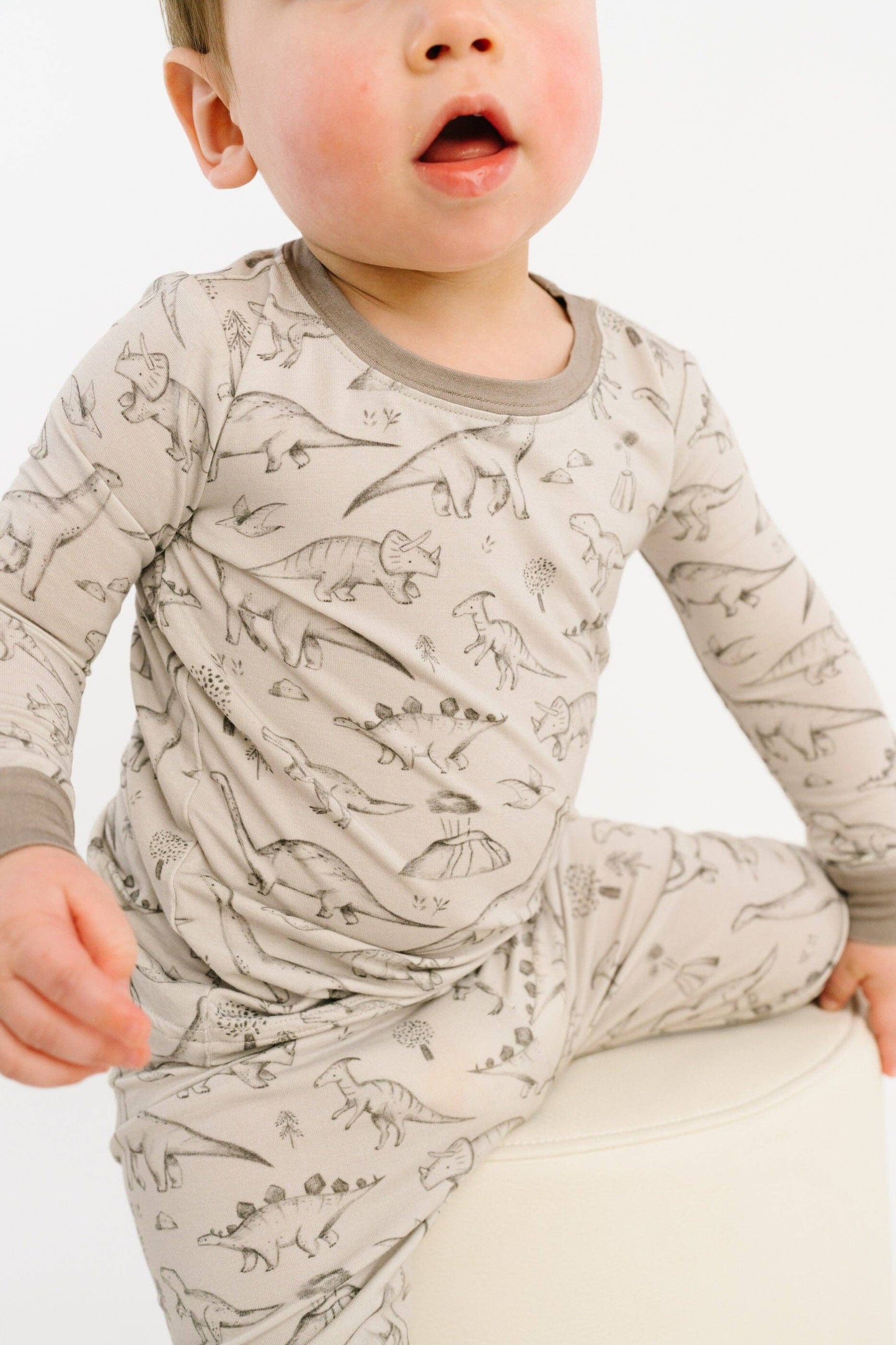 Dino Doodles Bamboo Set