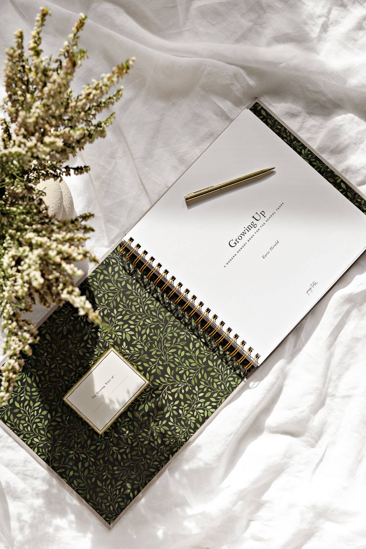 Growing Up: A Modern Memory Book for the School Years