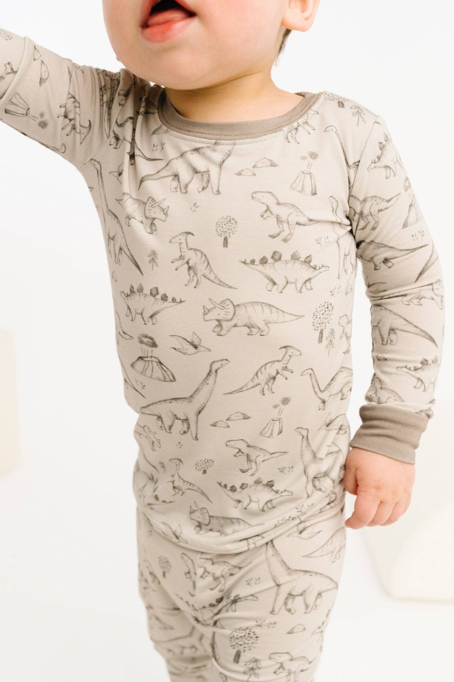 Dino Doodles Bamboo Set