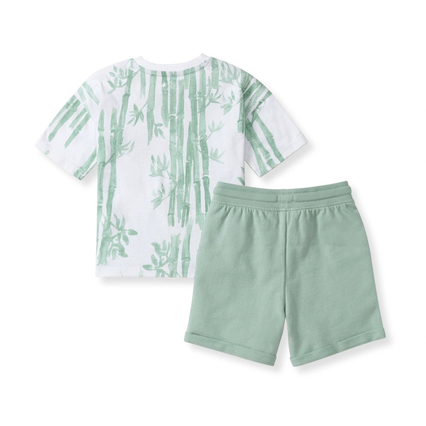 Bamboo Forest Tee & Shorts Set: 4T