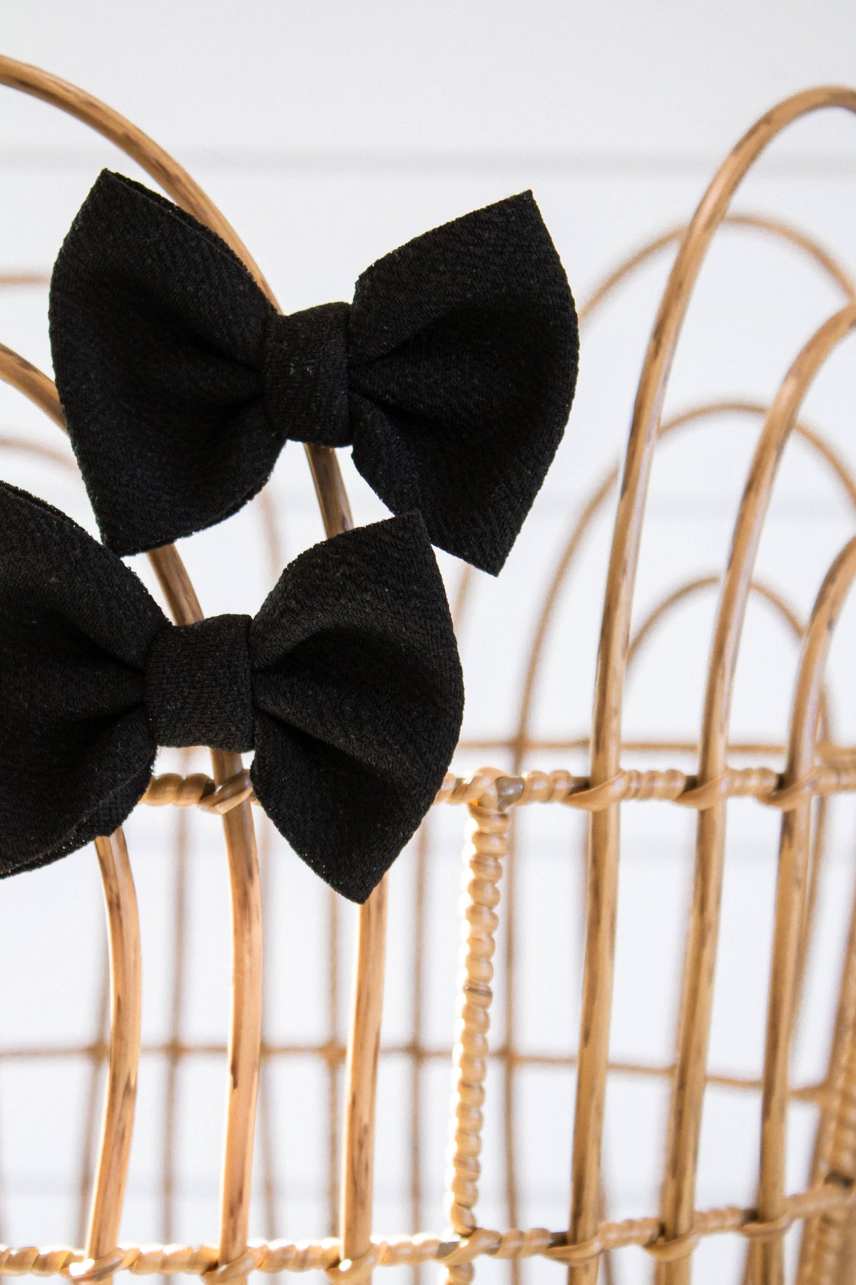 Black + Piggie Set 