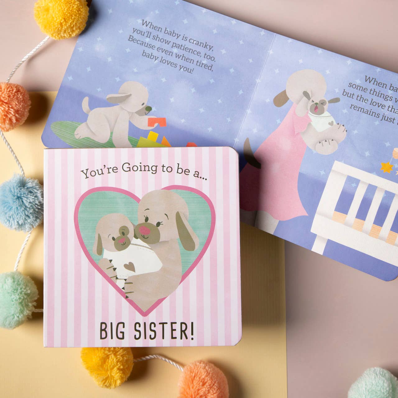 You're Going To Be a Big Sister Book