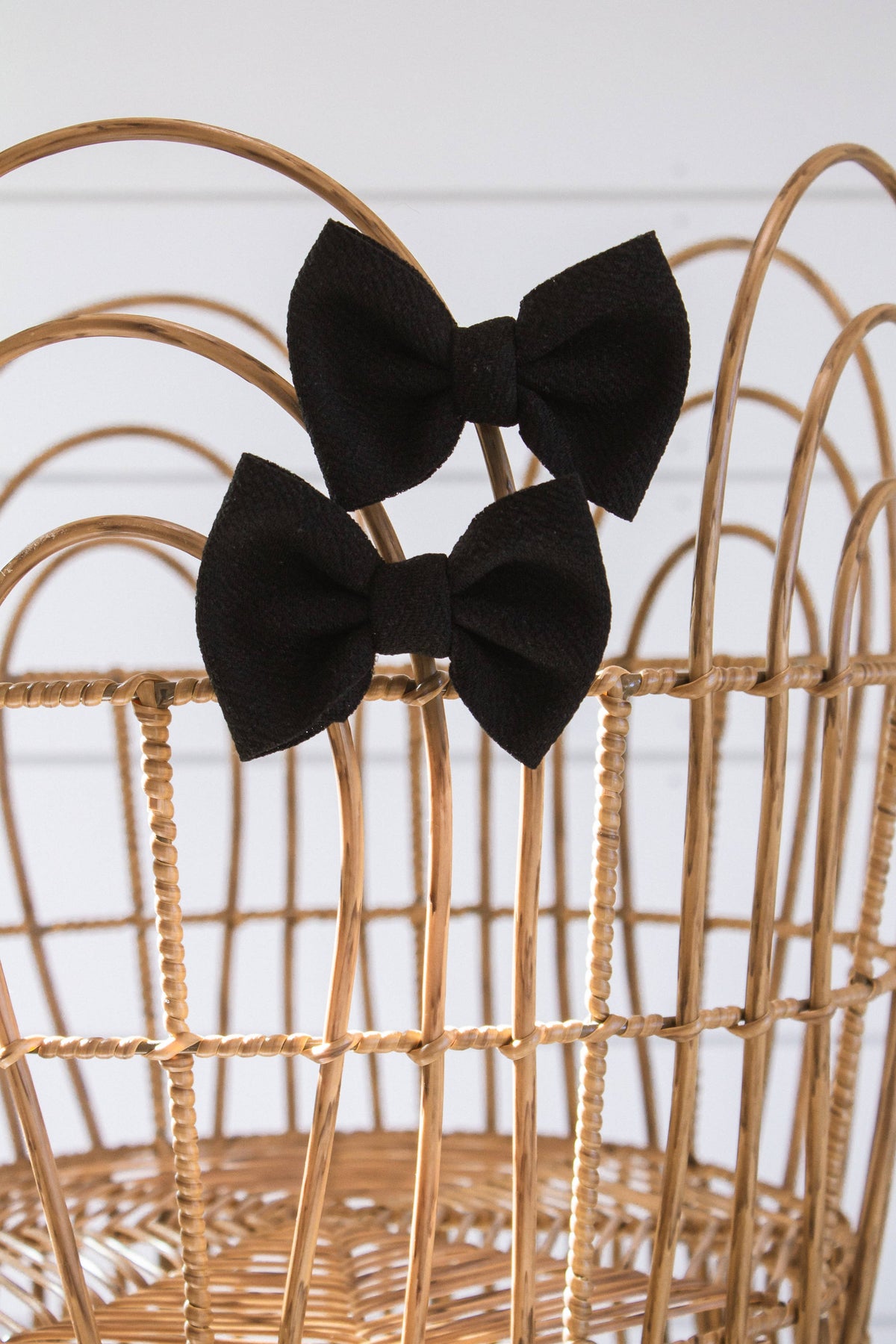 Black + Piggie Set 