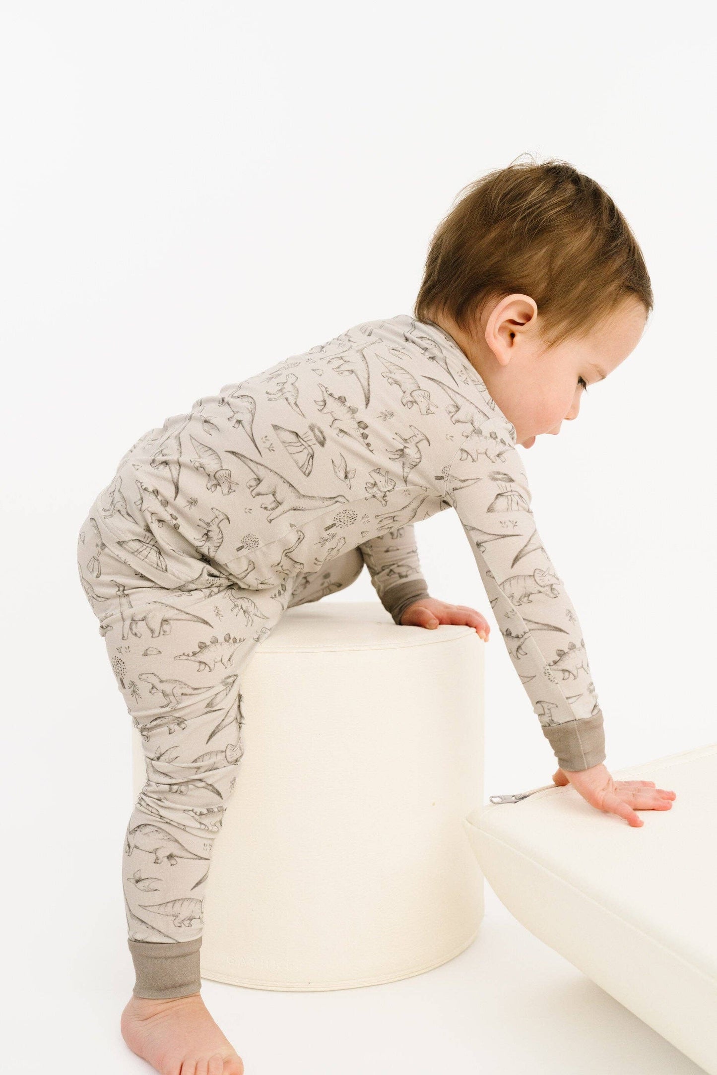 Dino Doodles Bamboo Set