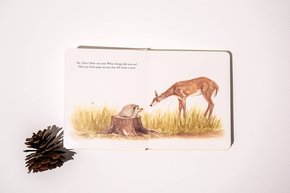 Our Little Adventures Board Book Box Set for Kids