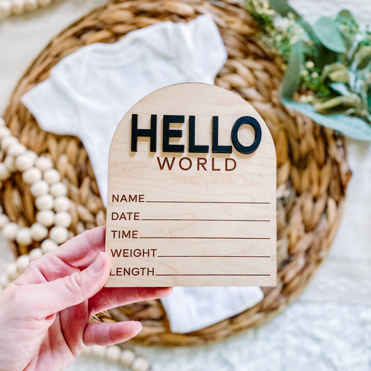 Modern Arch Hello World Birth Stat Sign: White
