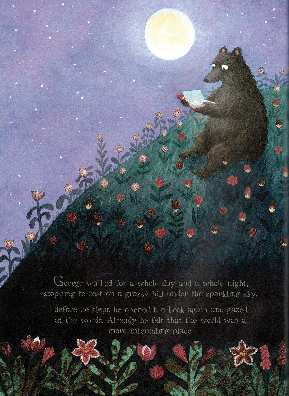 Bears Don’t Read!