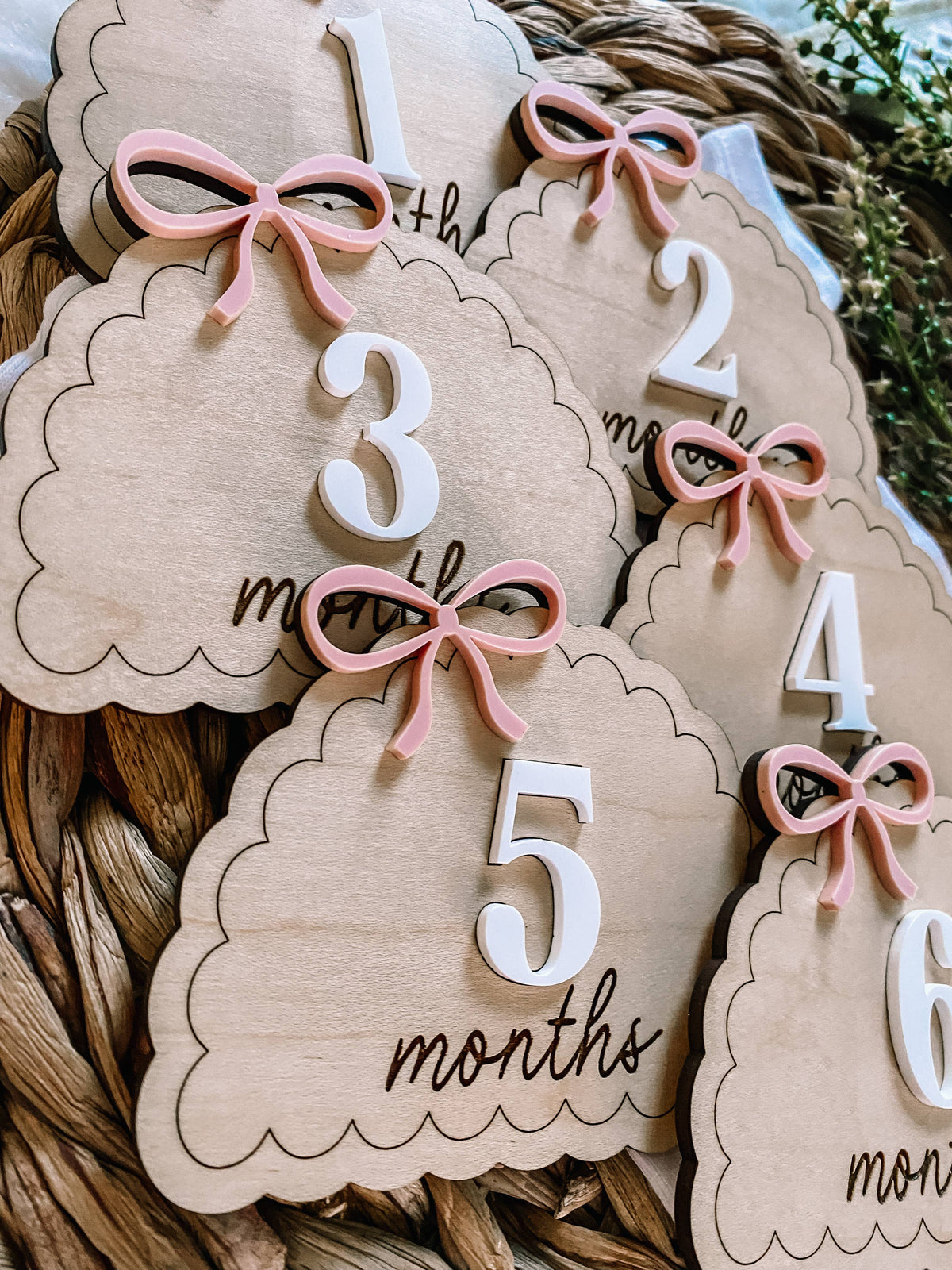 Wooden Monthly Milestone Set - Dainty Bows : Blush